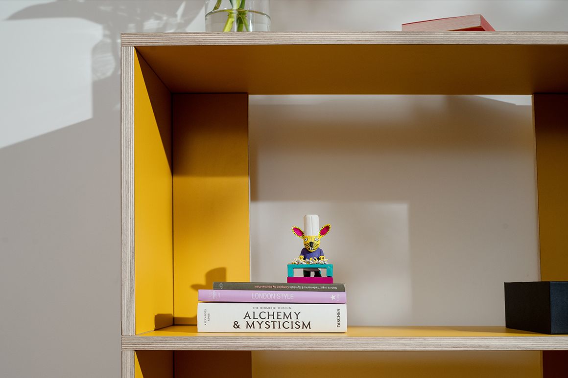 Books and a little fellow on Bookcase Type01